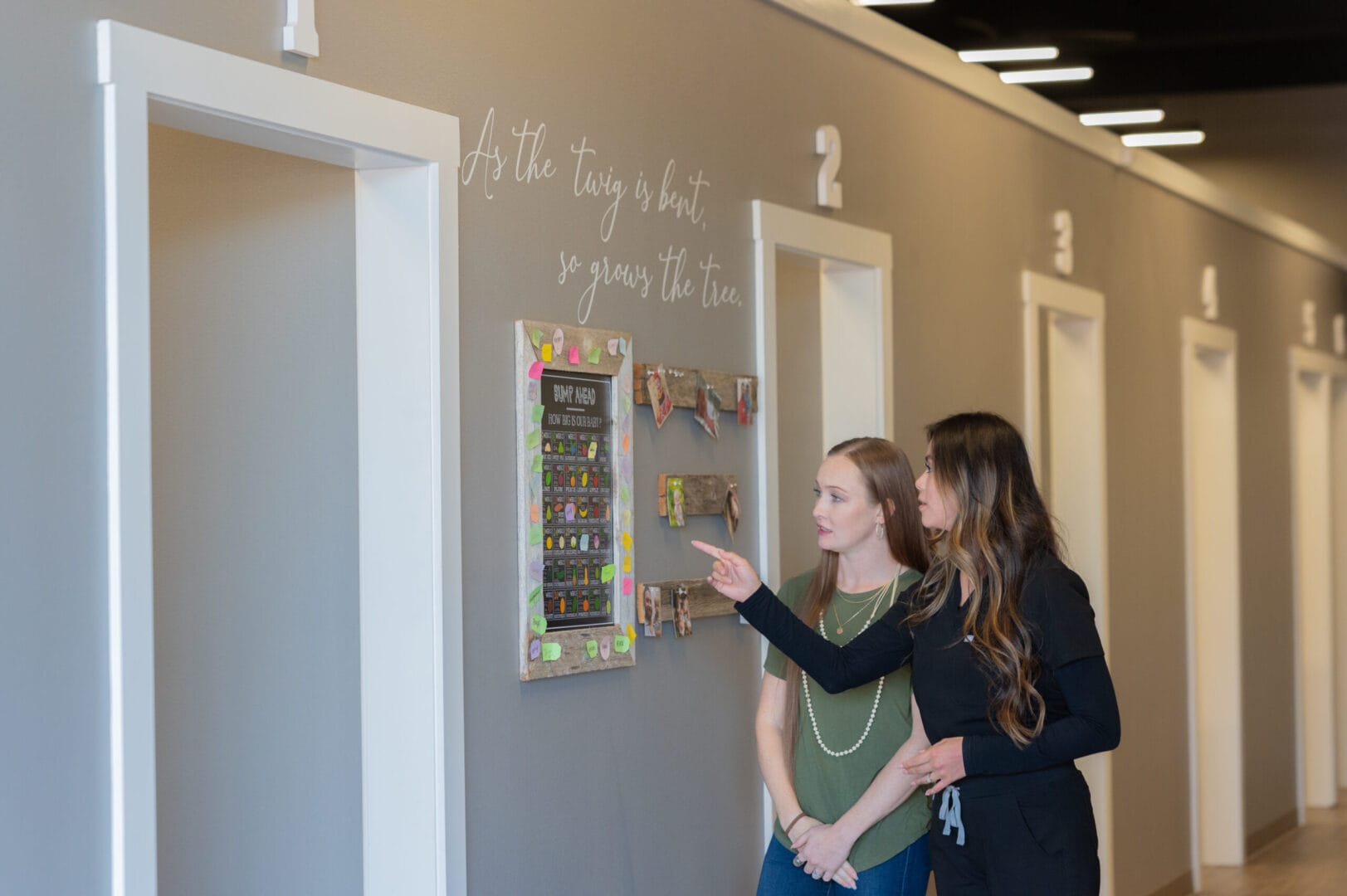 authority chiropractic in san antonio